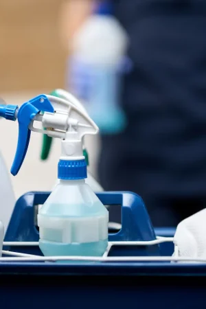 Cleaning supplies, including spray bottles and a cloth, arranged in a blue bucket, ready for cleaning services.